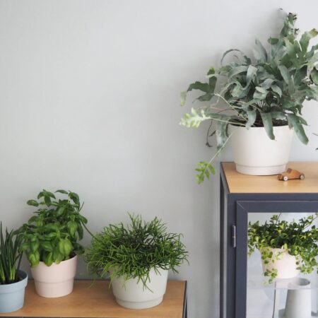 Alternative view of Flowerpot | XL | Brown