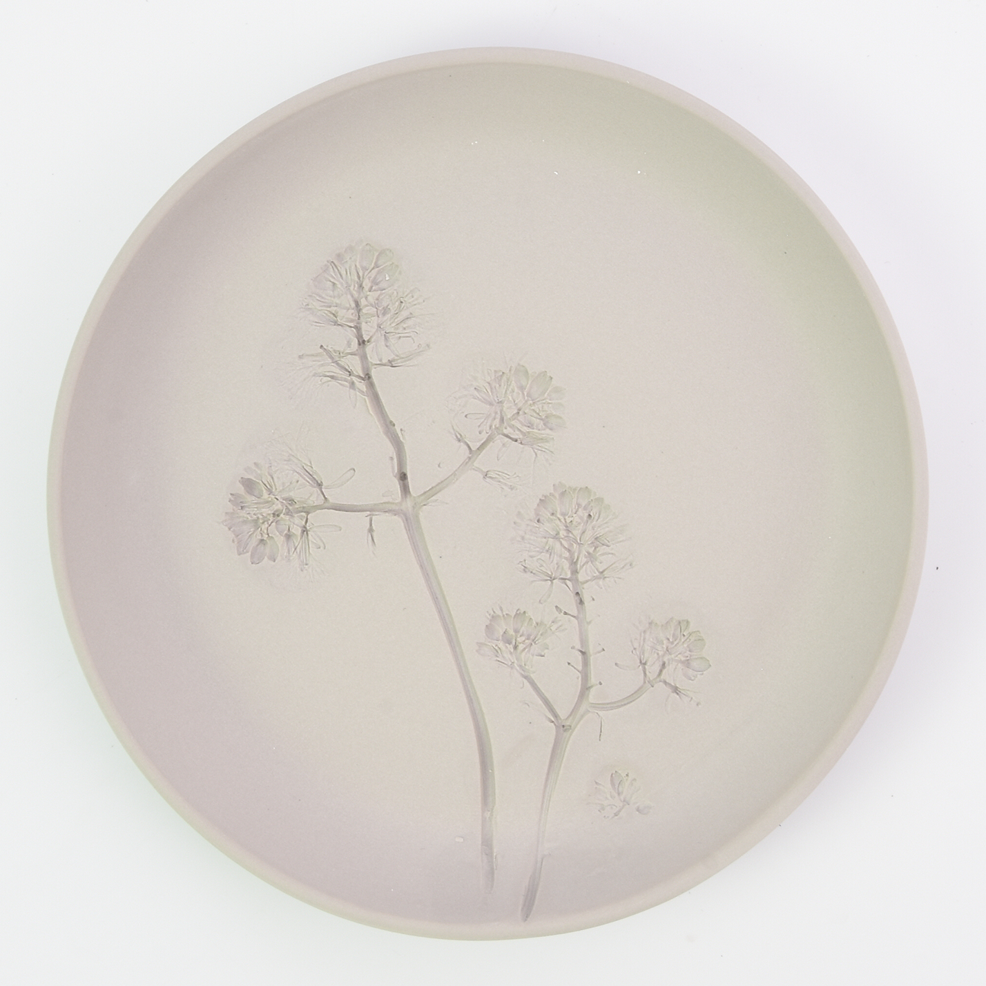 Plant stamp plate M | Grey
