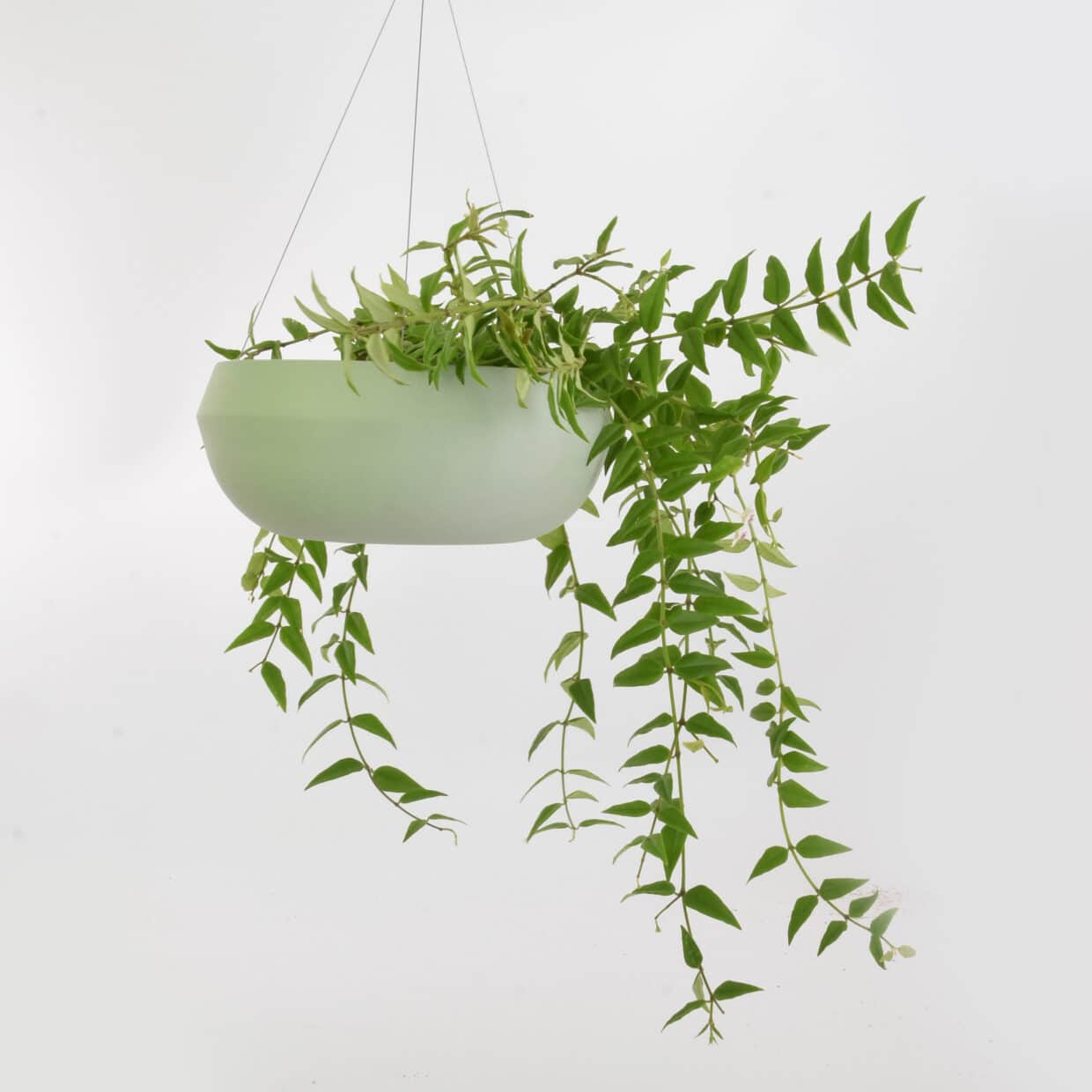 hanging planter XL Studio Harm en Elke