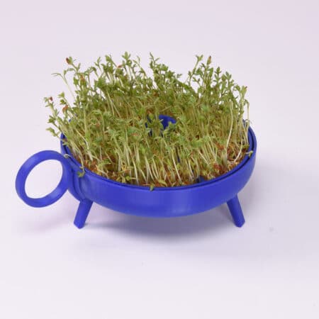 Sprouting planter | Cobalt