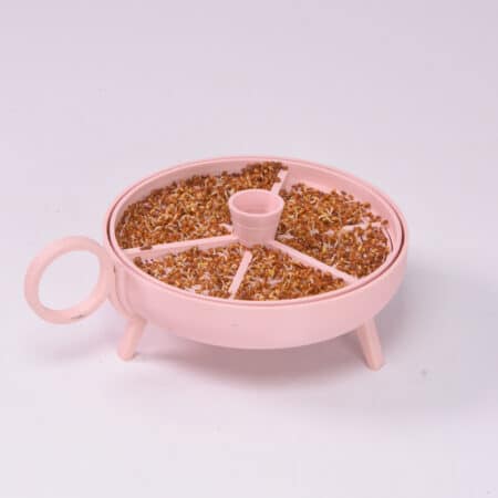 Sprouting planter | Pink