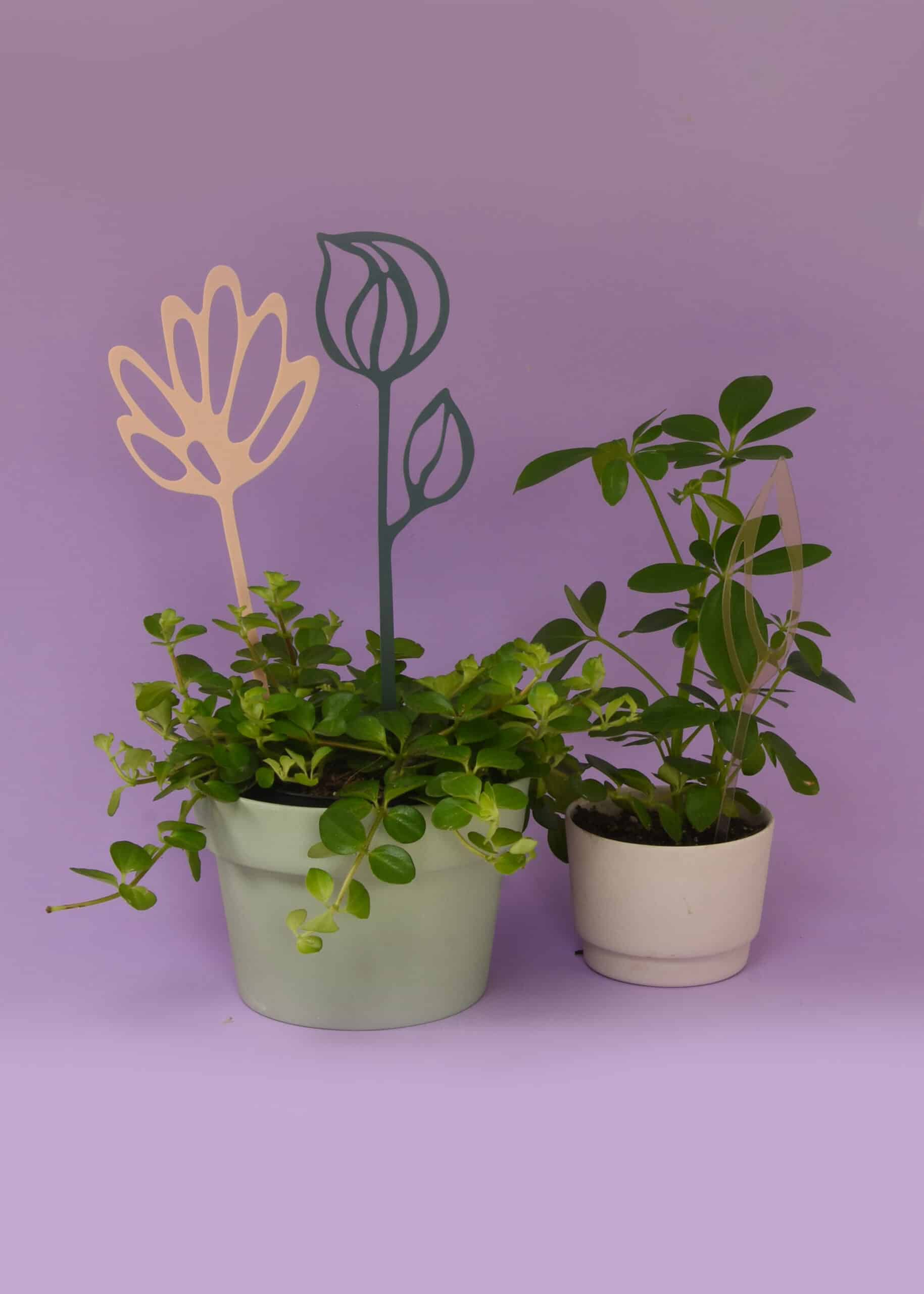 Acrylic flowers | Nude/Smoke/Darkgreen - Image 3