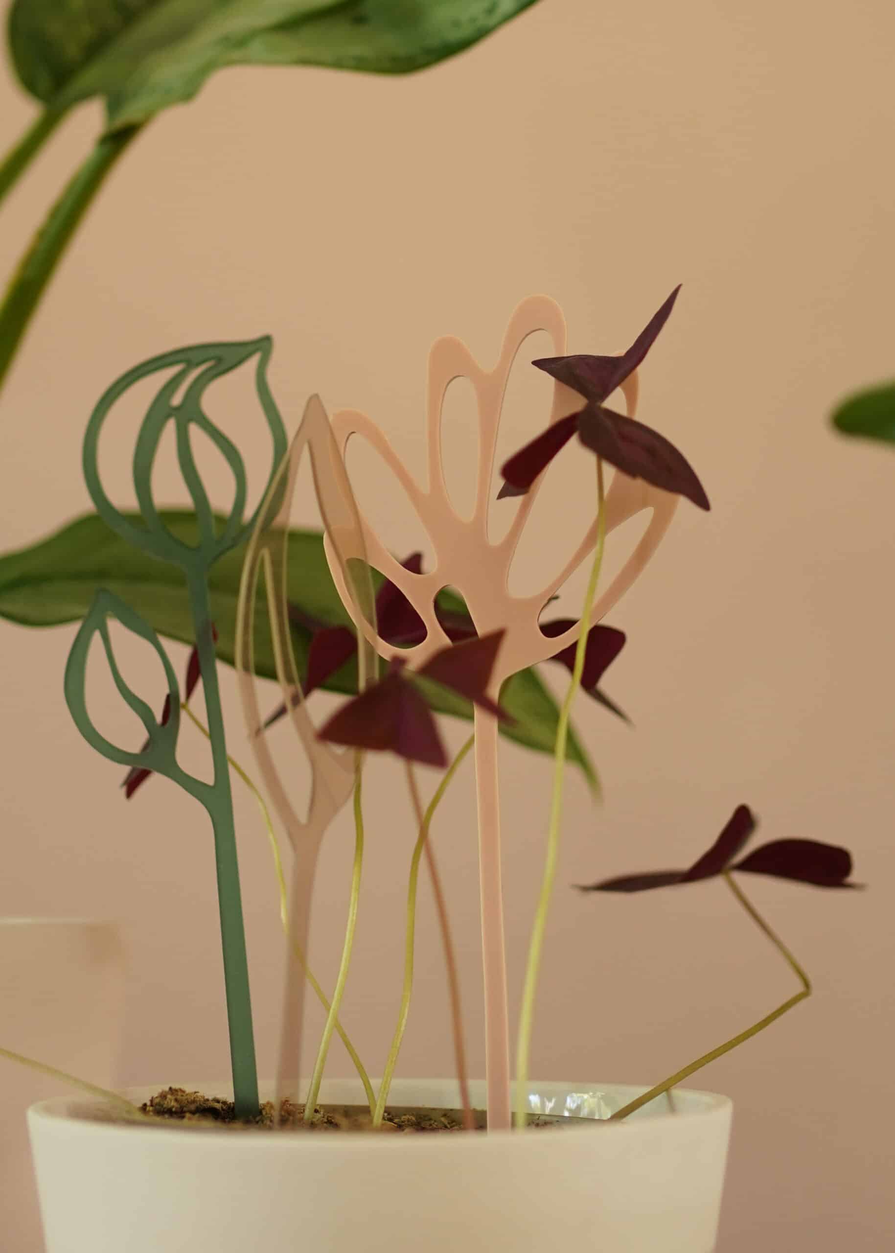 Acrylic flowers | Nude/Smoke/Darkgreen - Image 6