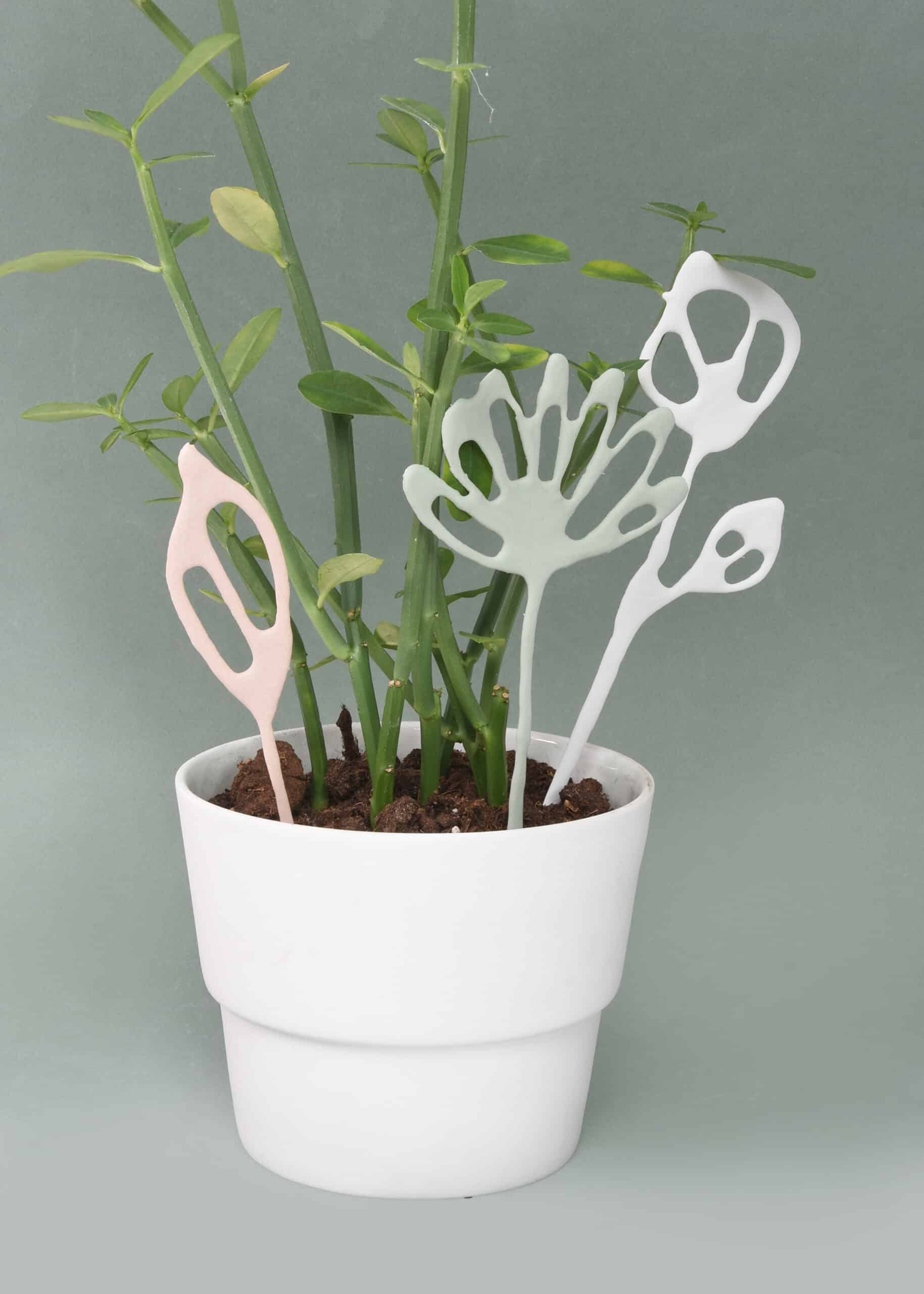 Porcelain flowers | Green/Mint/Sand - Image 2